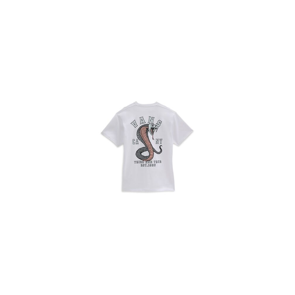 T-SHIRT UOMO VANS STRIKED SS VN0A7PLSWHT