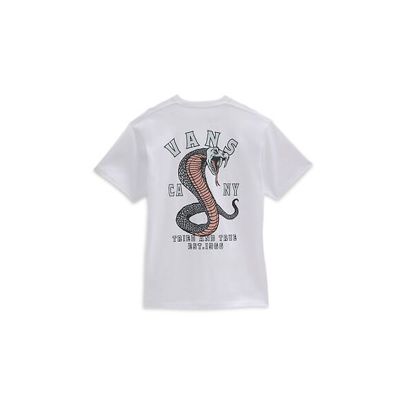 T-SHIRT UOMO VANS STRIKED SS VN0A7PLSWHT