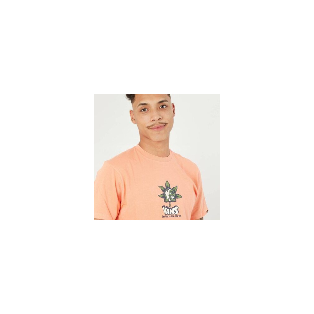 T-SHIRT VANS PEACE OF MIND SS MELON...