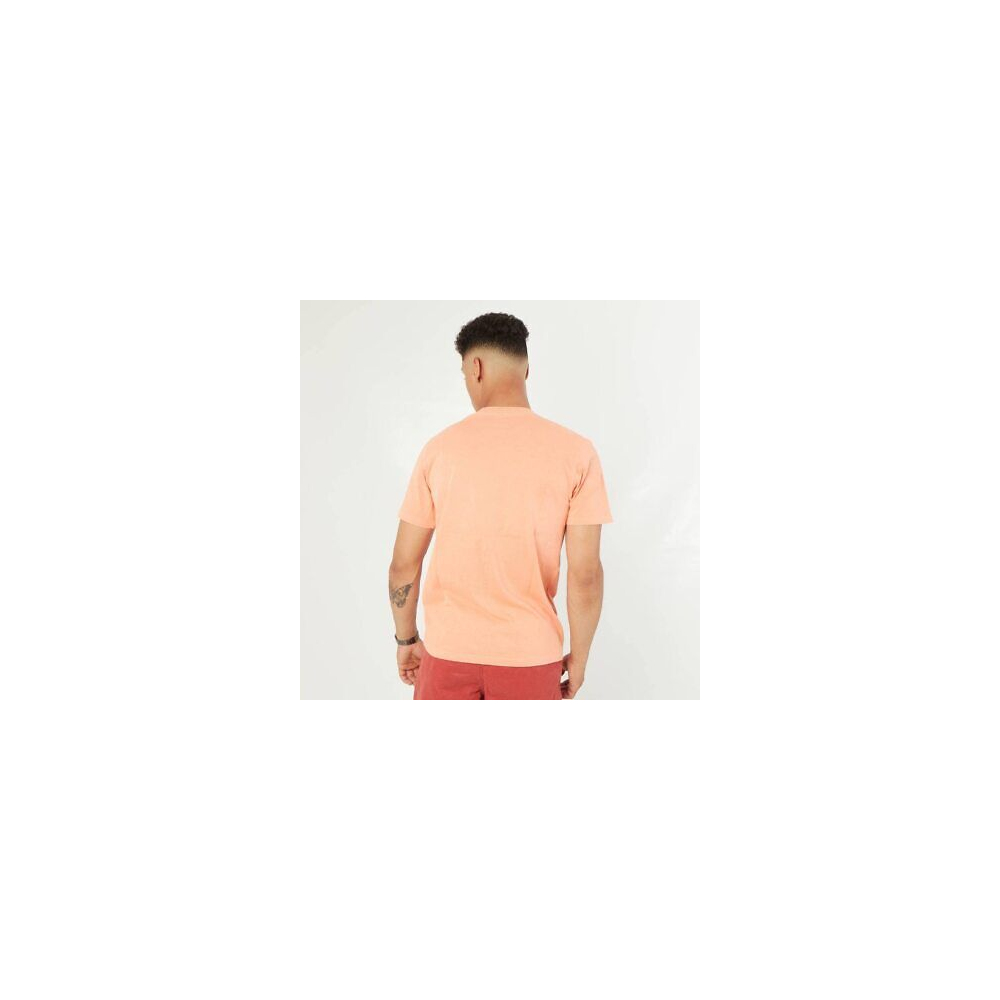 T-SHIRT VANS PEACE OF MIND SS MELON...