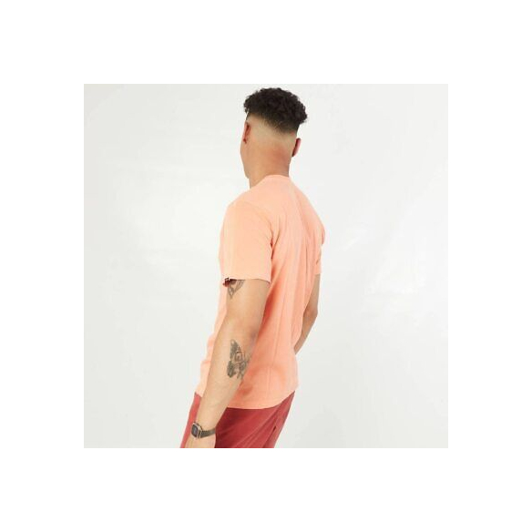 T-SHIRT VANS PEACE OF MIND SS MELON VN0A7PJYYST UOMO ARANCIONE Arancione L